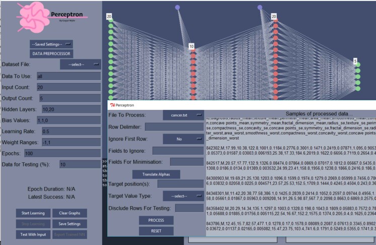 A user interface with lots of text boxes and a rendered graphic of a neural network